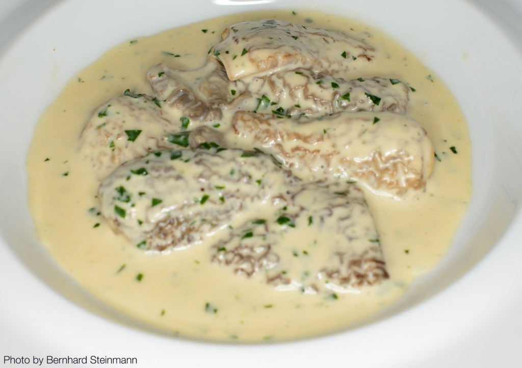 Morilles-à-la-Crème